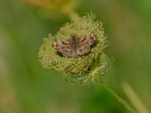 Foto: Eigenes Bild TB