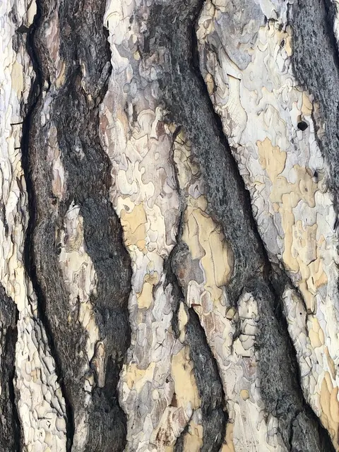 Foto: Urheber aller Fotos ist Eva Strümpfler