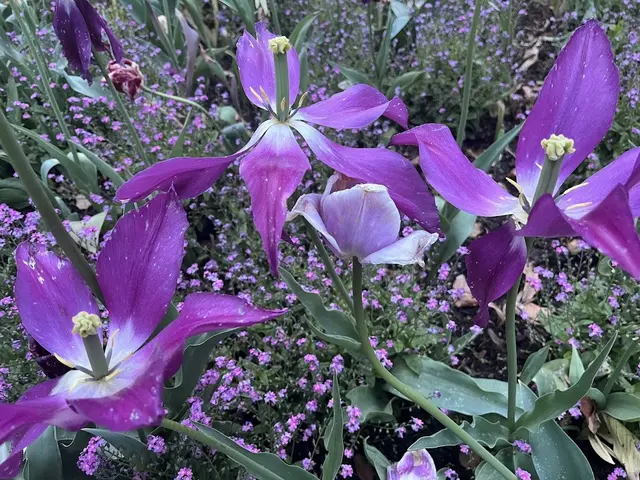 Foto: Urheber aller Fotos ist Eva Strümpfler