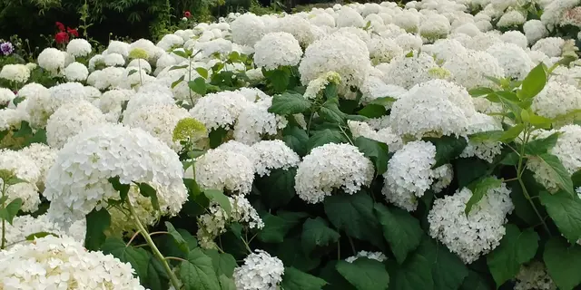 Foto: Urheber aller Fotos ist Eva Strümpfler