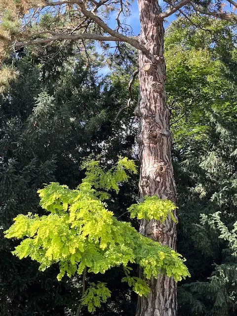 Foto: Urheber aller Fotos ist Eva Strümpfler