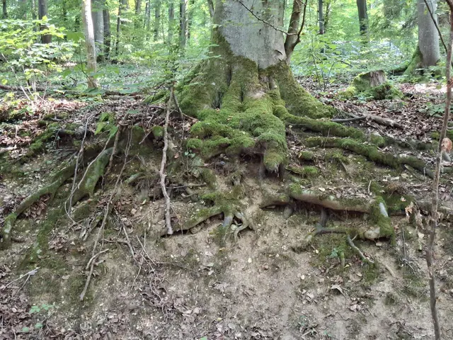 In der Natur unterwegs😎🌞😎 | Foto: Ralf Röser