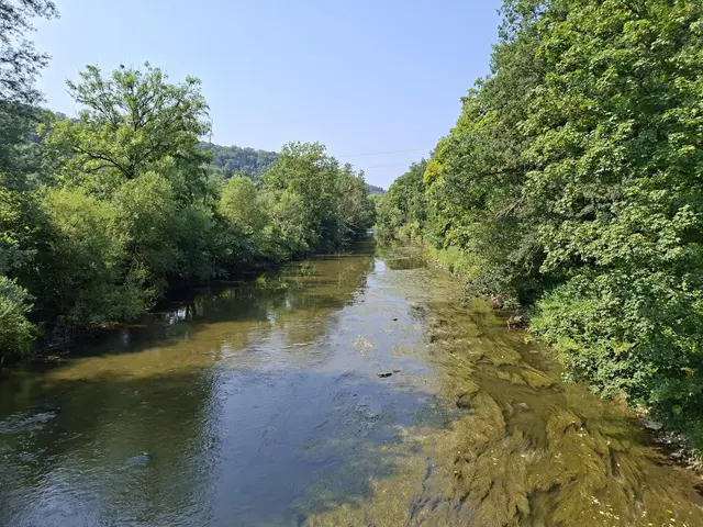 In der Natur unterwegs😎🌞😎 | Foto: Ralf Röser