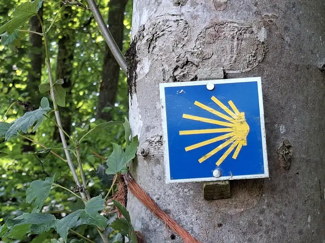 In der Natur unterwegs😎🌞😎 | Foto: Ralf Röser