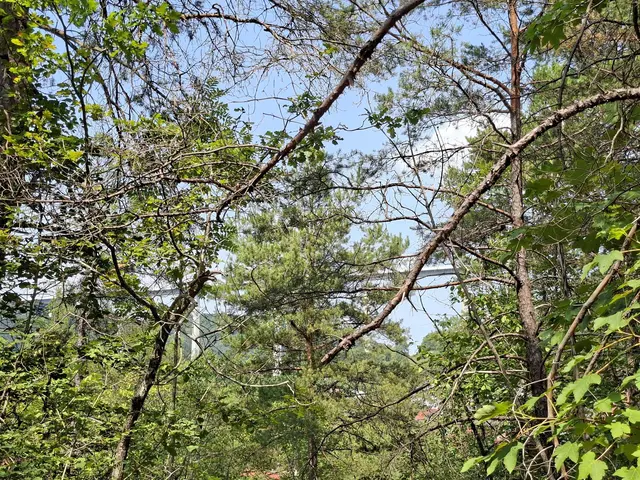 In der Natur unterwegs😎🌞😎 | Foto: Ralf Röser