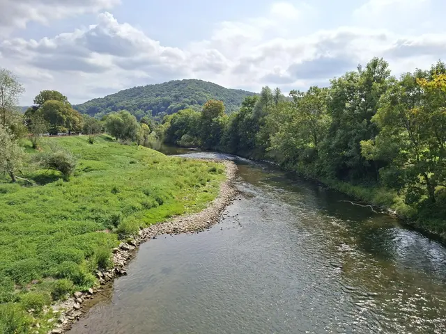 In der Natur unterwegs😎🌞😎 | Foto: Ralf Röser