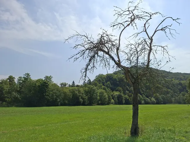 In der Natur unterwegs😎🌞😎 | Foto: Ralf Röser