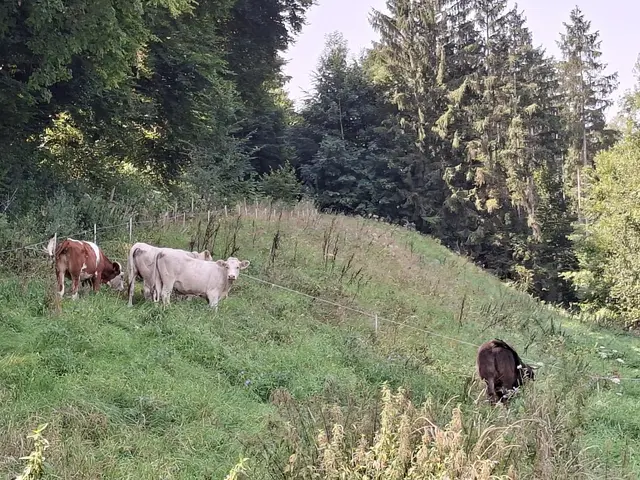 In der Natur unterwegs😎🌞😎 | Foto: Ralf Röser
