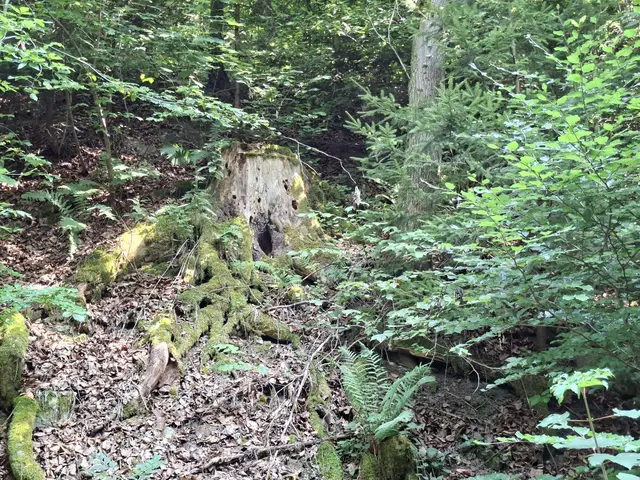 In der Natur unterwegs😎🌞😎 | Foto: Ralf Röser