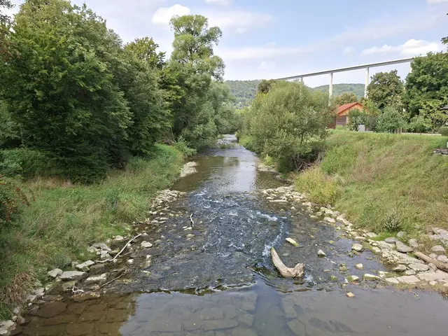 In der Natur unterwegs😎🌞😎 | Foto: Ralf Röser