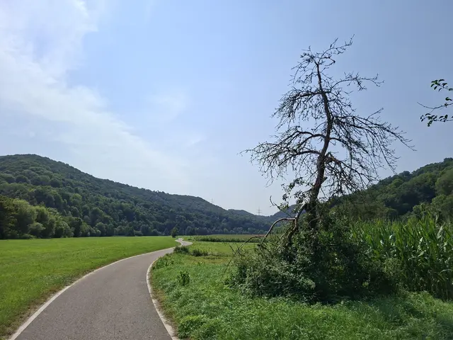 In der Natur unterwegs😎🌞😎 | Foto: Ralf Röser