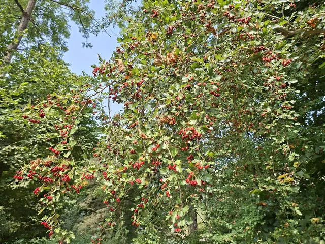 In der Natur unterwegs😎🌞😎 | Foto: Ralf Röser