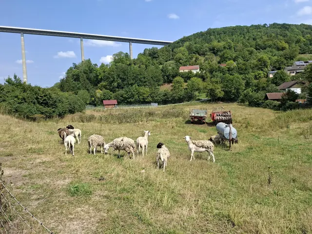 In der Natur unterwegs😎🌞😎 | Foto: Ralf Röser