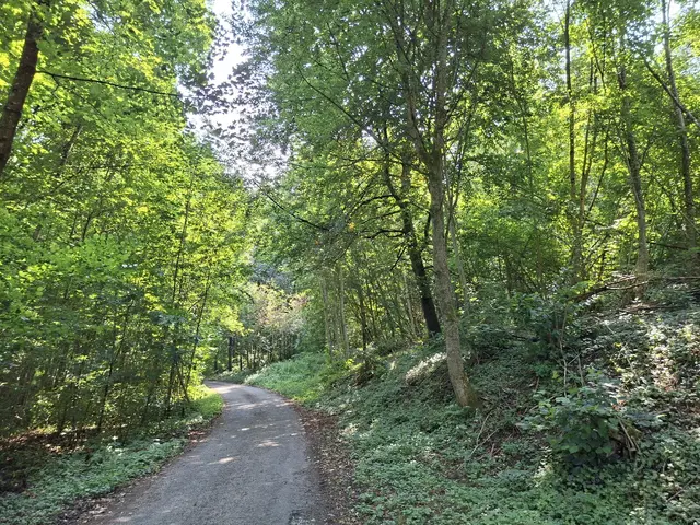 In der Natur unterwegs😎🌞😎 | Foto: Ralf Röser