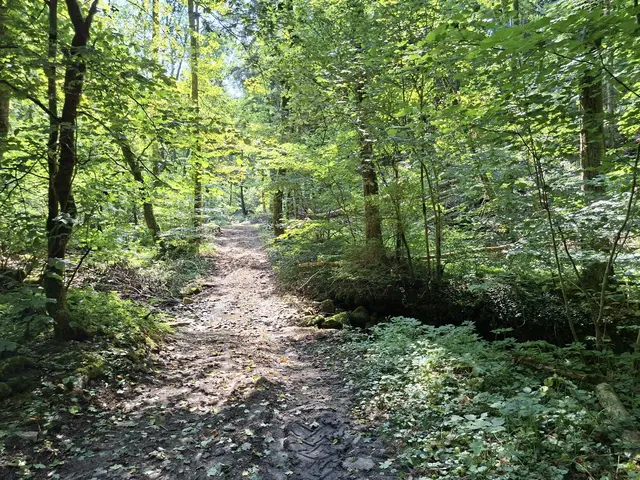 In der Natur unterwegs😎🌞😎 | Foto: Ralf Röser