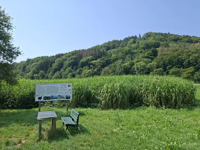 In der Natur unterwegs😎🌞😎 | Foto: Ralf Röser