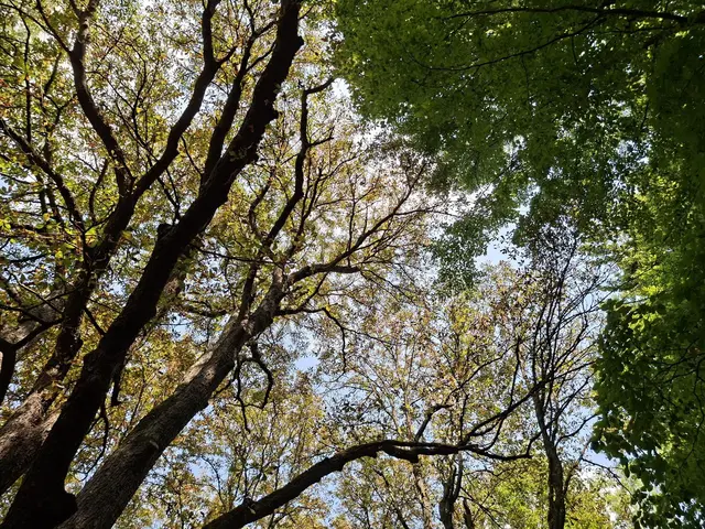 In der Natur unterwegs😎🌞😎 | Foto: Ralf Röser