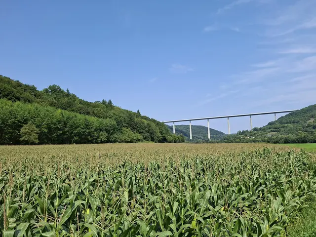 In der Natur unterwegs😎🌞😎 | Foto: Ralf Röser