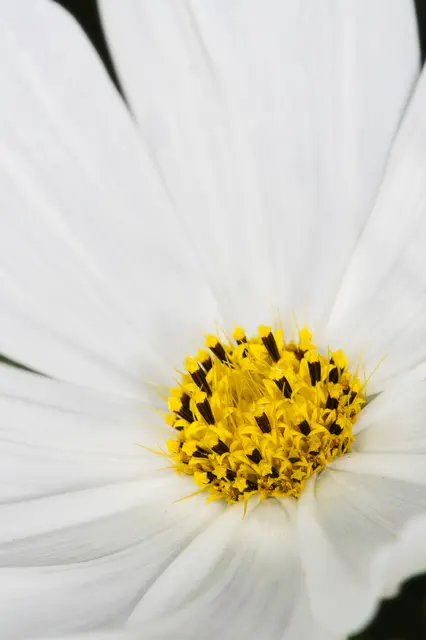 Foto: Yvonne Sperber