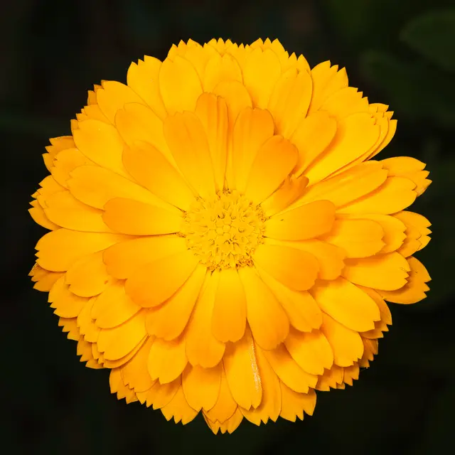 Foto: Yvonne Sperber