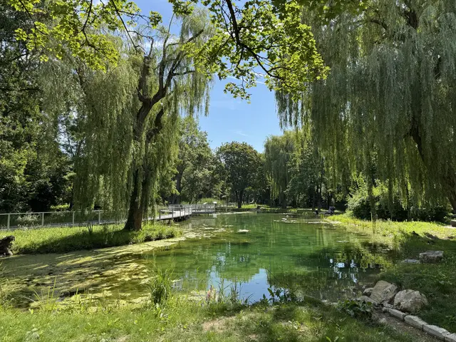 Foto: Heide Böllinger aus Bad Friedrichshall