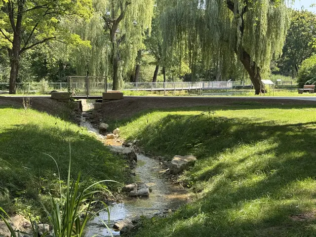 Foto: Heide Böllinger aus Bad Friedrichshall