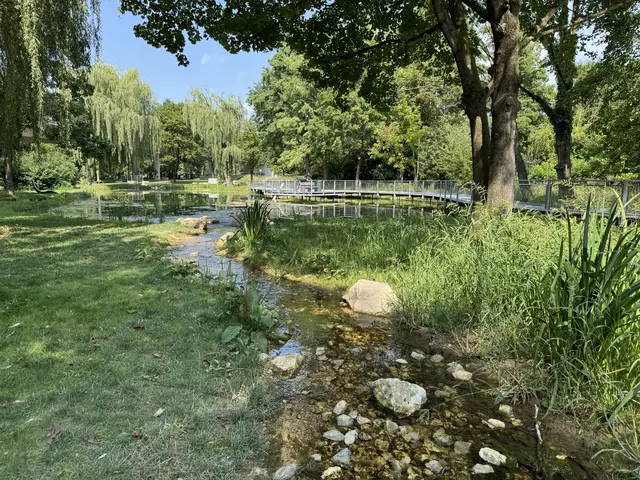 Foto: Heide Böllinger aus Bad Friedrichshall