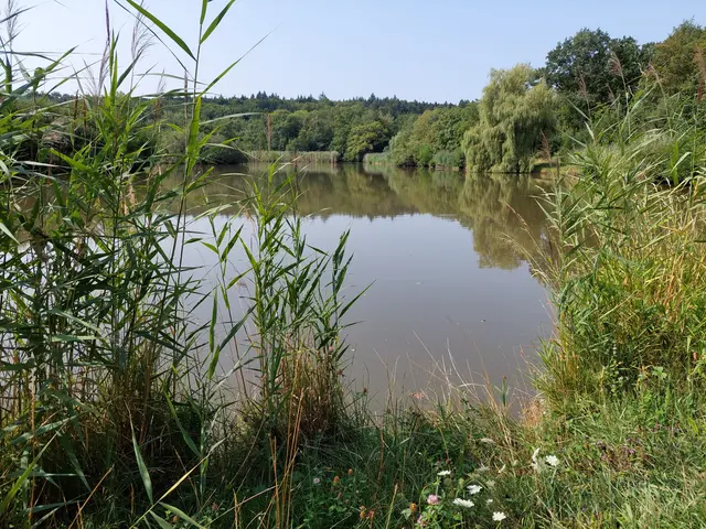Eine Augenweide: Der romantische Gleichener See in der Mittagssonne. | Foto: Foto privat