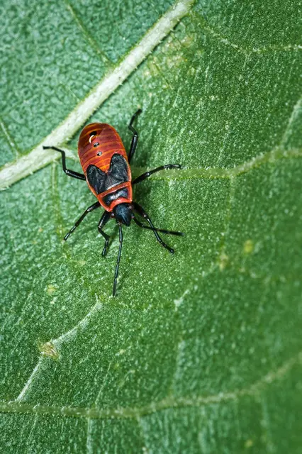 Foto: Yvonne Sperber