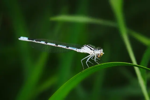 Foto: Yvonne Sperber