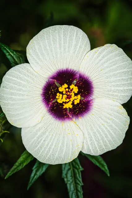 Foto: Yvonne Sperber