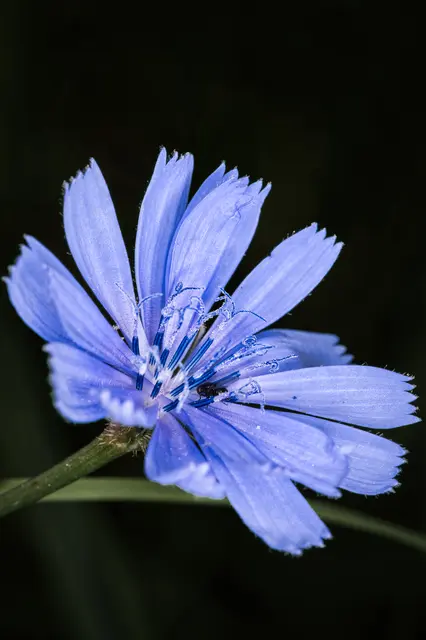 Foto: Yvonne Sperber