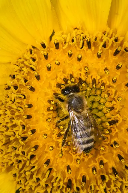 Foto: Yvonne Sperber