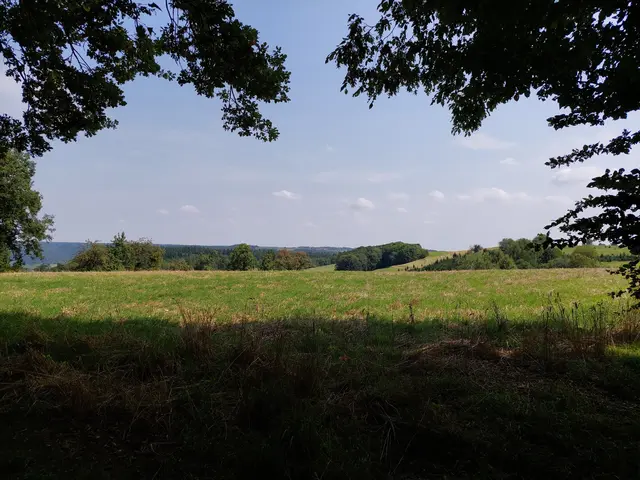 Weit schweift der Blick über die Hänge mit Wiesen und Wäldern. | Foto: Foto privat