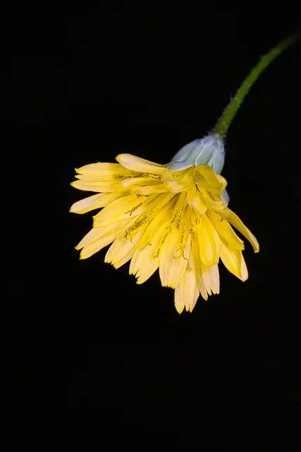 Foto: Yvonne Sperber