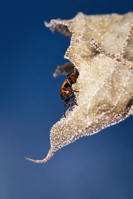 Foto: Yvonne Sperber