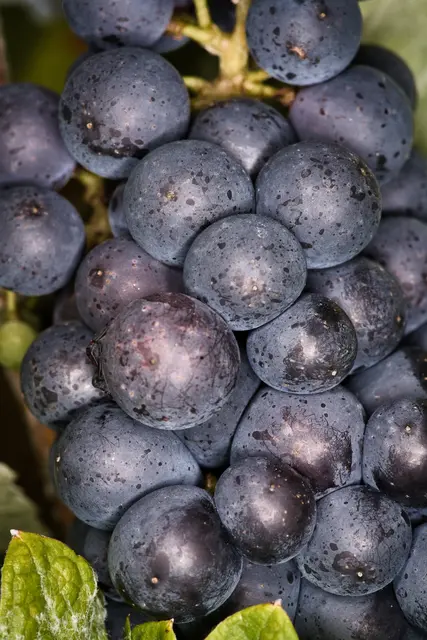 Foto: Yvonne Sperber