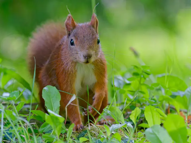 Foto: Eigenes Bild TB