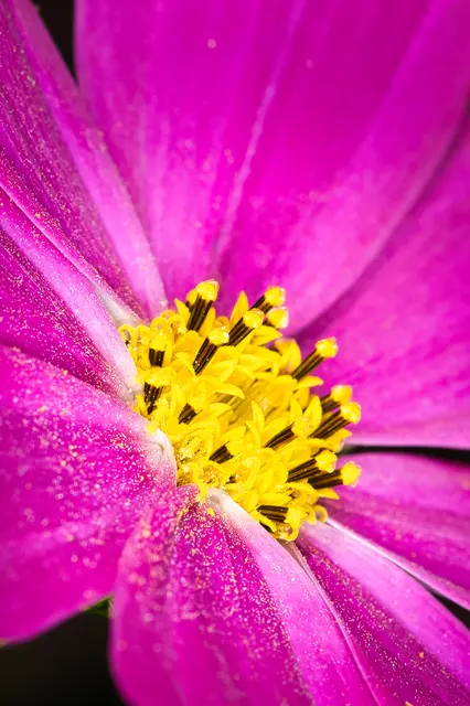 Foto: Yvonne Sperber