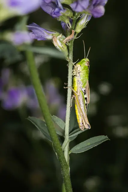 Foto: Yvonne Sperber