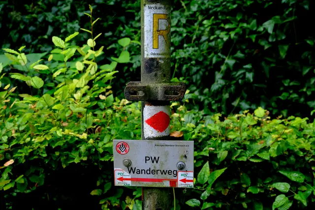 Foto: Eduard Warenik