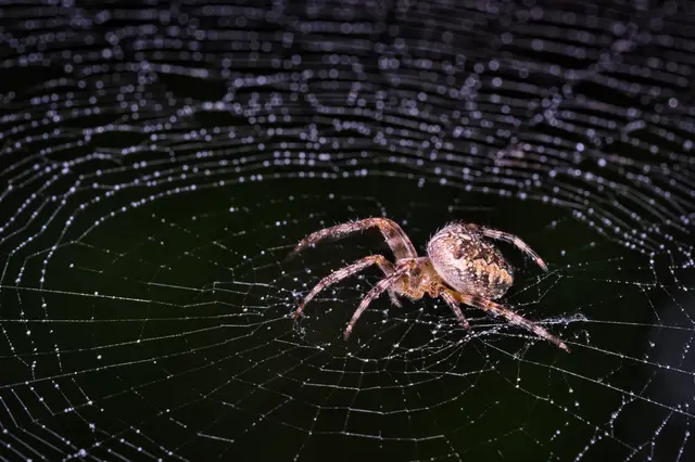 Foto: Yvonne Sperber