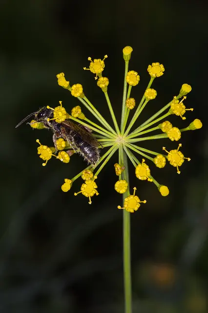 Foto: Yvonne Sperber