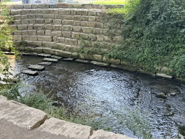 Foto: Heide Böllinger aus Bad Friedrichshall