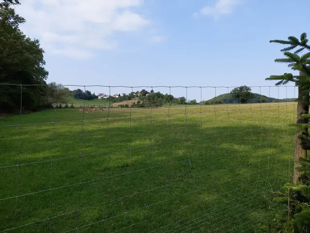 Die grünen Hügel des schwäbische Toskana mit dem Ort Gleichen auf der Anhöhe erquicken das Auge. | Foto: Foto privat