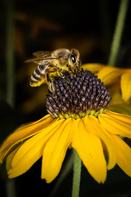 Foto: Yvonne Sperber