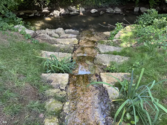 Foto: Heide Böllinger aus Bad Friedrichshall