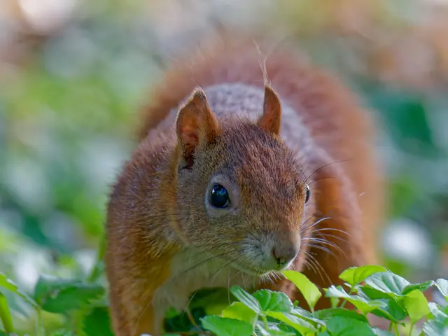 Foto: Eigenes Bild TB