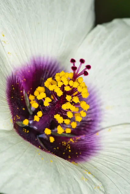 Foto: Yvonne Sperber