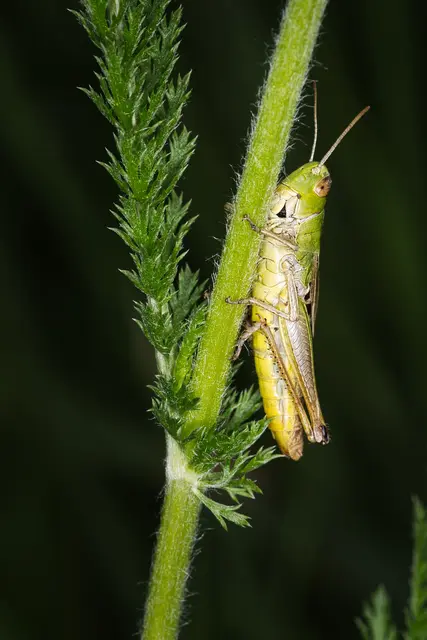 Foto: Yvonne Sperber